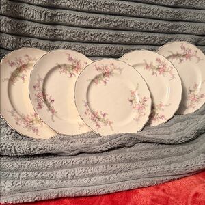 Classic Cream Porcelain Dinner Plates with Pink Floral Design, Set of 5